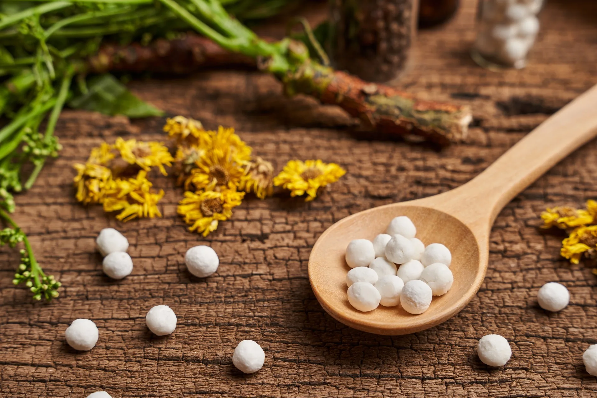 homeopathic remedies in a spoon