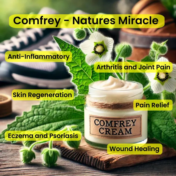 Comfrey Cream